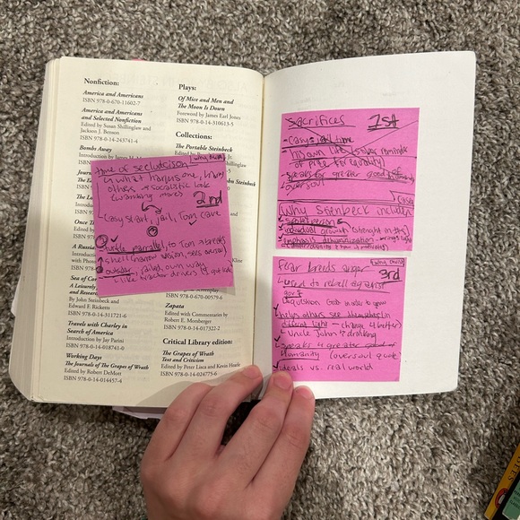 the grapes of wrath (timed writing (45 min essay) included) - Picture 5 of 5